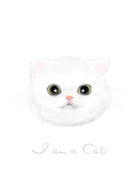 I am a cat - ねこ1