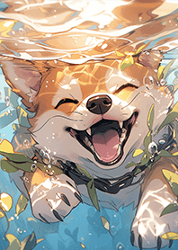 柴犬開心玩水!!我最愛的狗狗寶貝❤-9