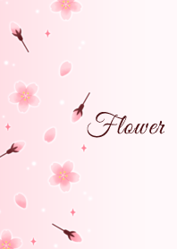 Flower 006-2 (Cherry blossoms/Pink)