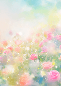 Beautiful rose flower(R3711)