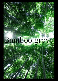 Bamboo grove & bamboo shoots