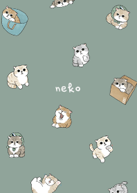 neko combo5 - dusty green