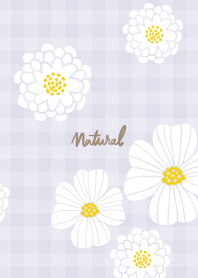White flower cute7 from Japan
