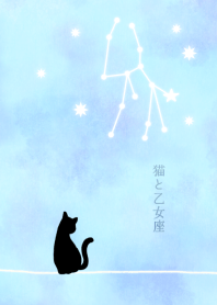 【12星座】乙女座と猫