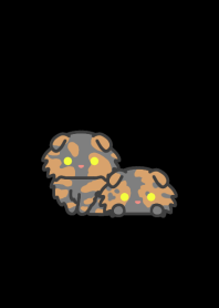 Tortie Fold Cat*darkmode*long-haired*