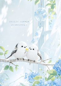 Blue Breezy Summer Shimaenaga