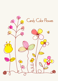 Candy color flowers
