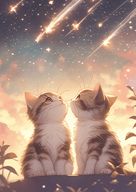 ⭐️流星下的夢幻情侶貓咪❤️1-2