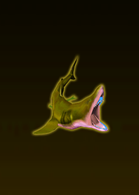 Ancient Megarodon