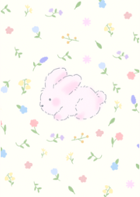 pink little rabbit