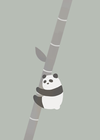 Panda holding bamboo