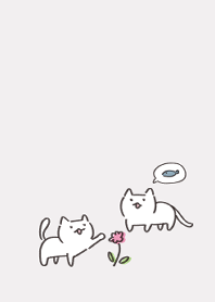Cute white cats.