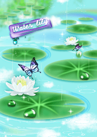 water lily with rainbow(butterfly)