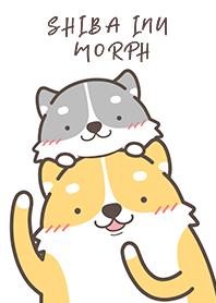 Shiba inu 18 - Morph