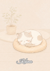 Cozy Lazy Cat: Kaina