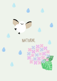 Long-tailed tit Hydrangea16 from Japan