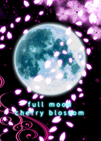 full moon cherry blossom