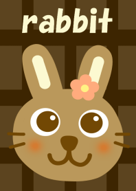 Rabbit and brown