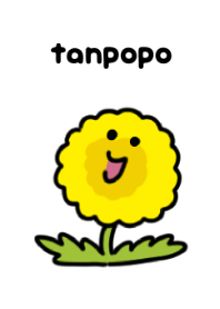 ดอกแดนดิไลออน