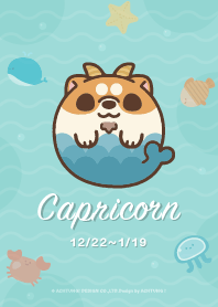 awa's life - Capricorn