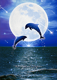 Bring good luck Full moon & Dolphins 5