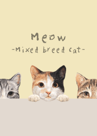 Meow - Mixed breed cat 01 - CREAM YELLOW
