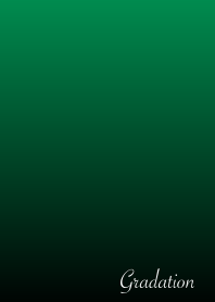 The Gradation No.1-B22