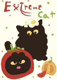 Extreme cat www