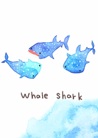 I love cute whale sharks3.