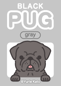 BLACK PUG(gray)