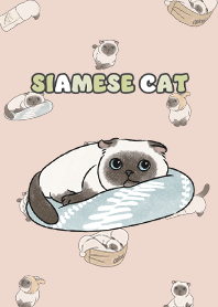 siamesecat7 - sea shell