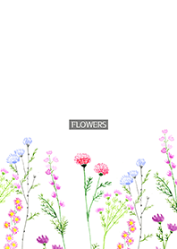 water color flowers_746