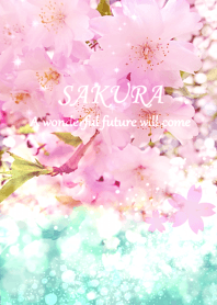 Cherry blossoms that bring good luck4