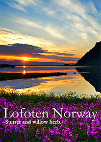 【癒しの風景】ノルウェーの夕焼け