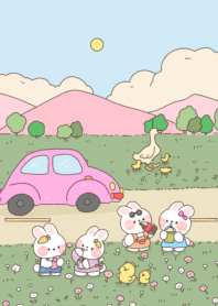 Rabbit 5555