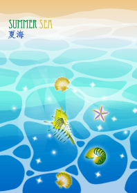 夏天海運，海運生物