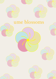 ume blossoms 49