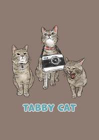 tabbycat11 - brown