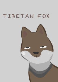 Tibetan sand fox