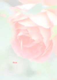 バラのきせかえ38