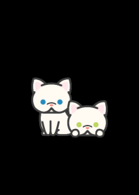 Short snout Cat W*darkmode*short-haired*