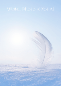 Winter Photo #8-10 Not AI