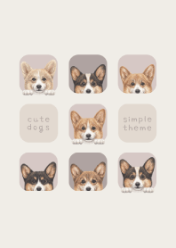 DOGS -Welsh Corgi 01- BROWN GRAY