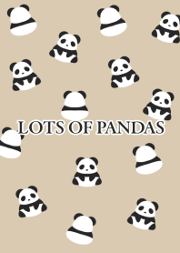 LOTS OF PANDAS/DUSTY BEIGE
