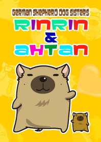 RINRIN & AHTAN