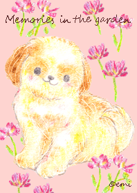 Memories in the garden emi