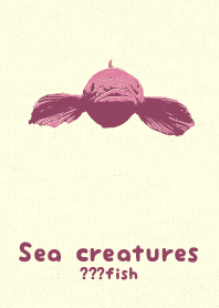 Sea crt ?fish Deep Orchid Pink
