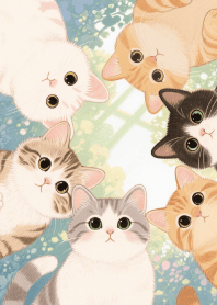 แมวเหมียวน่ารักสุดๆ