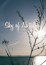 Sky of Nostalgia .