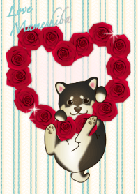 Valentine love mameshiba dog beige